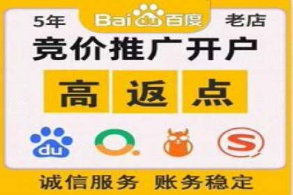 行业领先企业如何通过SEM推广代运营提升业绩
